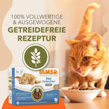 IAMS Delights Sea Collection Kornfrit våd kattefoder - Multipakke med forskellige fisk i sauce, Kornfrit vådfoder til katte fra 1 år, 12 x 85g