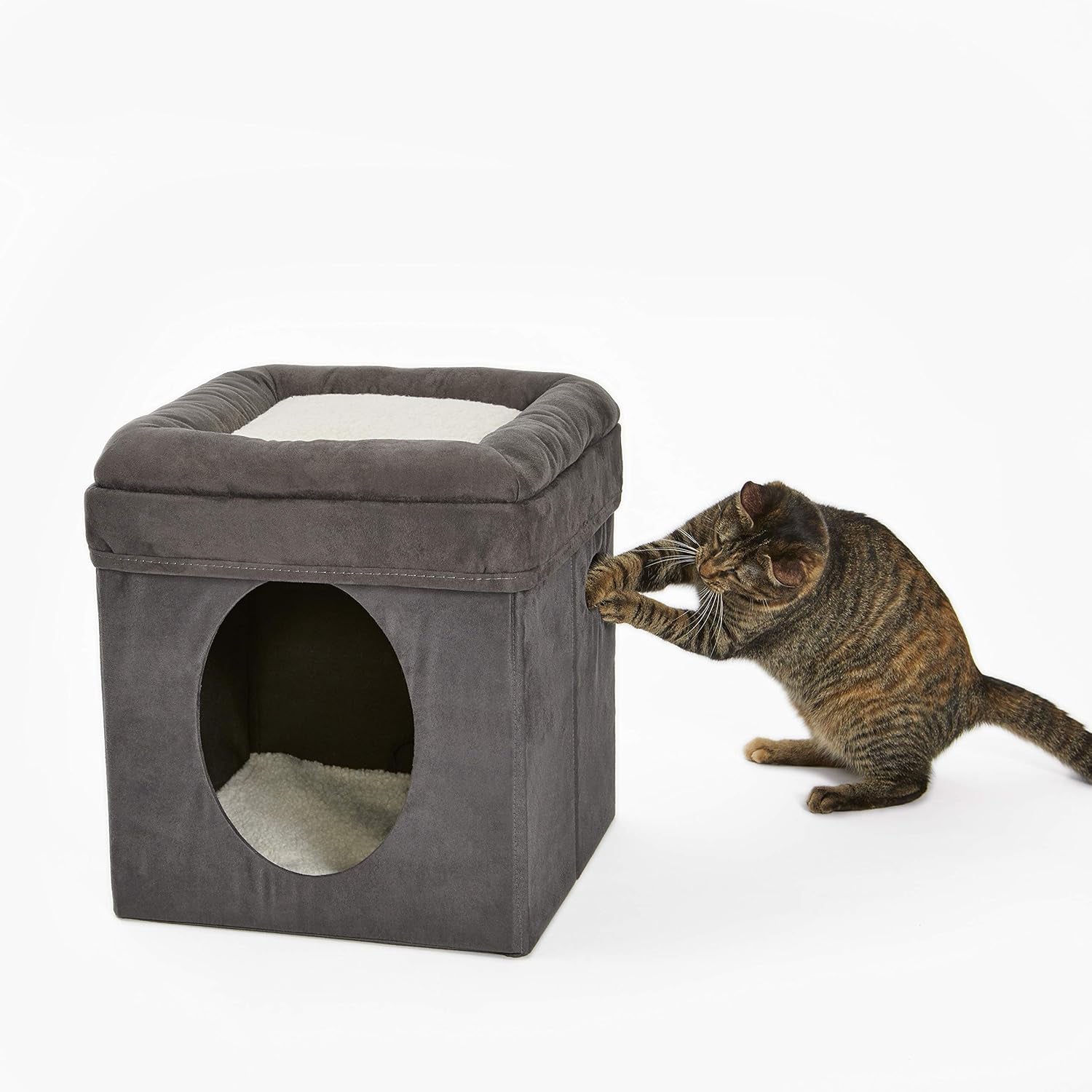Senge og sofaer, tæpper og møbler, kæledyr, katte, senge til katte, katte - senge, madrasser
