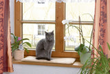 Tæpper og møbler, Kæledyr, Katte, Senge til katte, Kradsemåtter, Katte - senge, madrasser