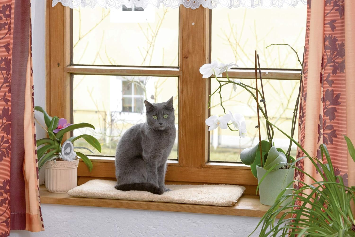 Tæpper og møbler, Kæledyr, Katte, Senge til katte, Kradsemåtter, Katte - senge, madrasser