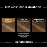 Garnier Olia Hair Color 6.0 Light Brown + True Treasures Repair Treatment (340ml) til beskadiget hår - farvning uden ammoniak, naturlige olier, dækker gråt hår, honning og bivoks, mindre brud Hårfarve Naty Shop