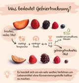Frysetørret frugt BRIX | Naturlig, tør blanding af tropiske frugter 80 g | Great Taste Award for tørret frugt | Ikke-GMO, glutenfri, vegansk, vitaminer er bevaret Naty Shop Dehydrerede Produkter