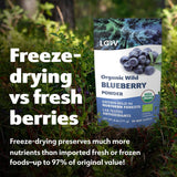 LOOV økologisk vilde blåbærpulver - 29 dages forsyning 171 g God til smoothies og morgenmad Frysetørret Nordeuropa uden tilsat sukker Naty Shop Dehydrerede produkter