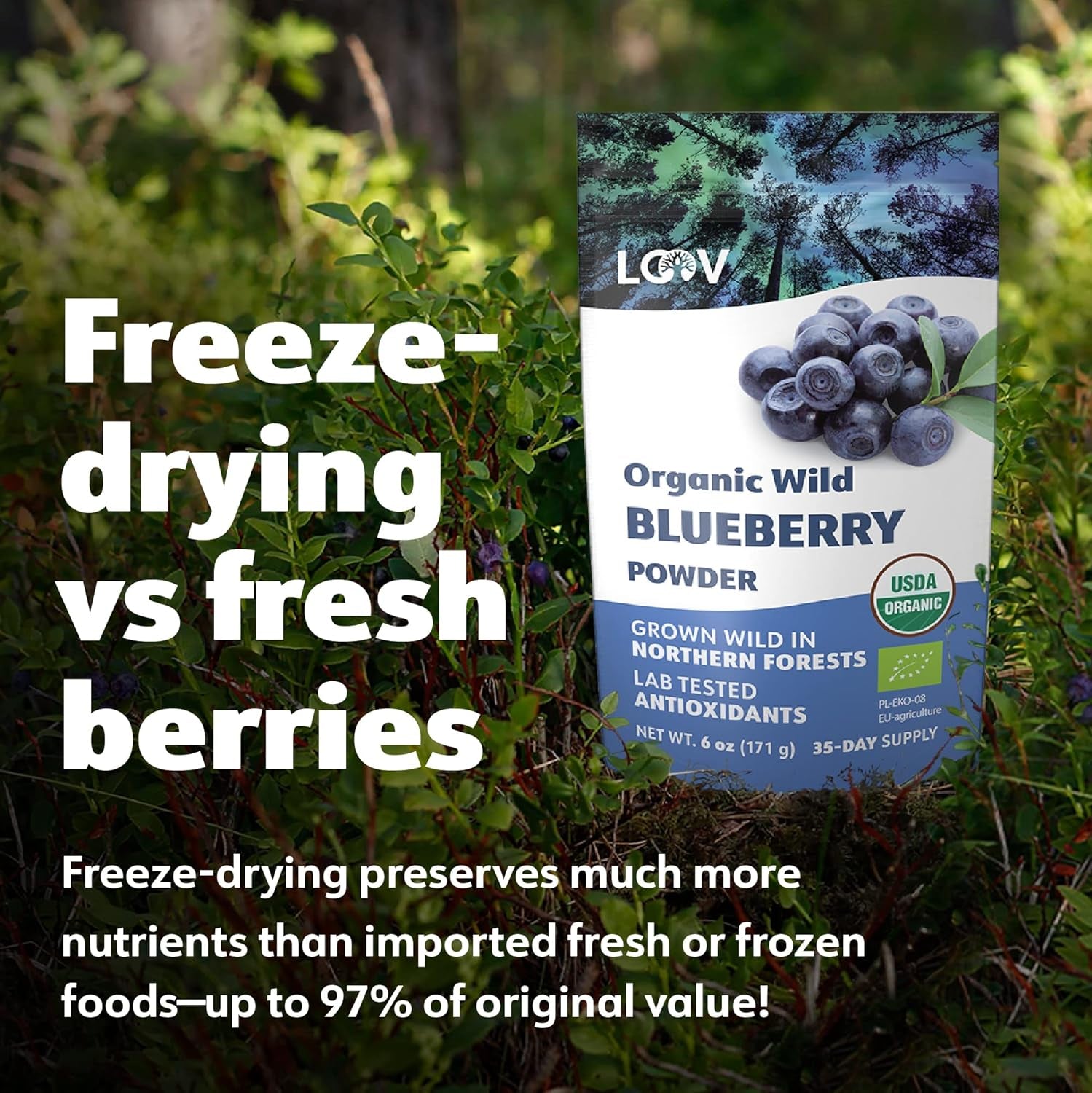 LOOV økologisk vilde blåbærpulver - 29 dages forsyning 171 g God til smoothies og morgenmad Frysetørret Nordeuropa uden tilsat sukker Naty Shop Dehydrerede produkter