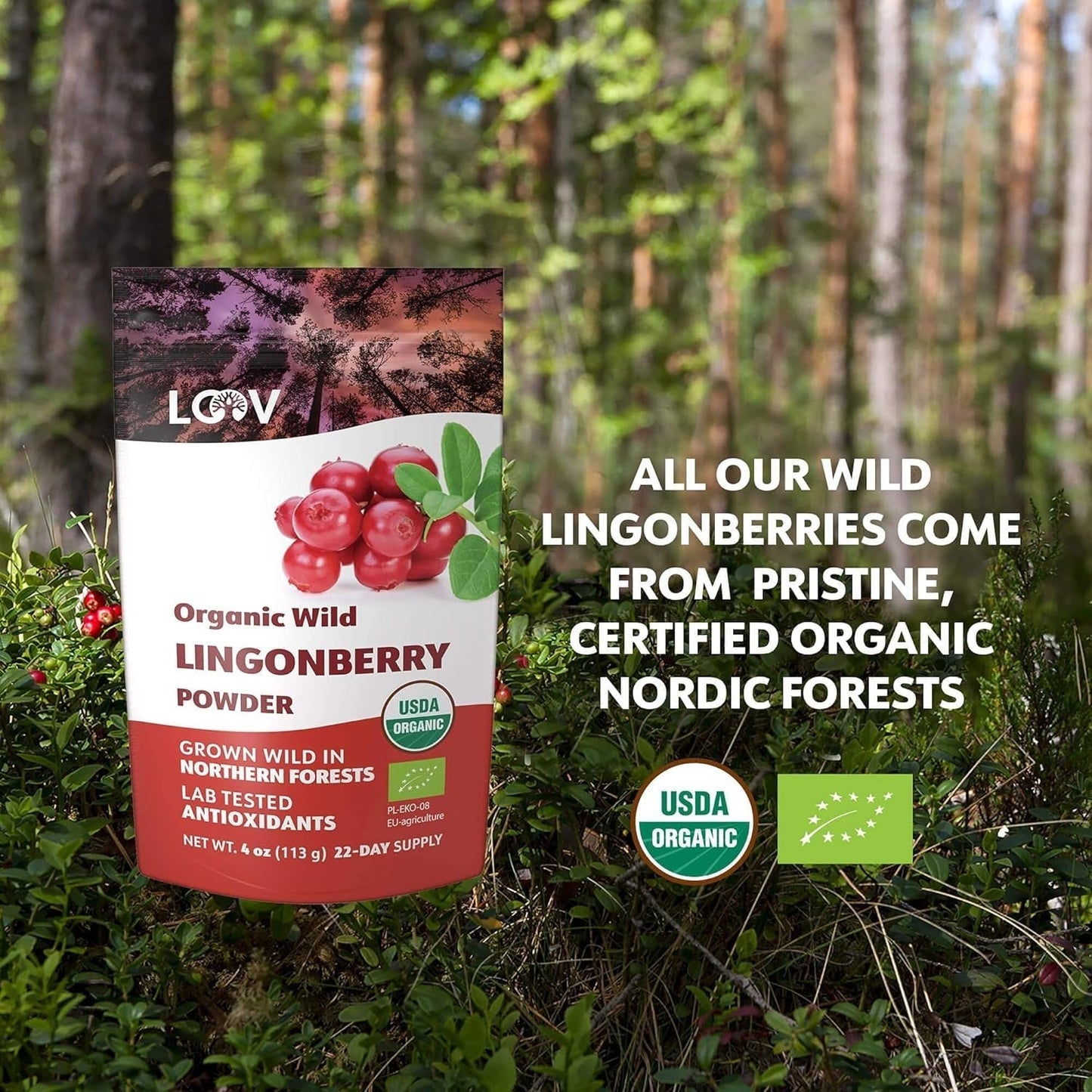 LOOV økologisk blåbærpulver, lavet af 100% hele, frysetørrede vilde blåbær høstet i skovene i Nordeuropa, 113g, uden tilsat sukker Naty Shop Dehydred Products