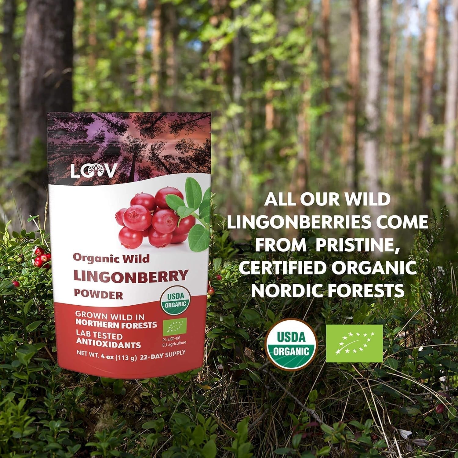 LOOV økologisk blåbærpulver, lavet af 100% hele, frysetørrede vilde blåbær høstet i skovene i Nordeuropa, 113g, uden tilsat sukker Naty Shop Dehydred Products