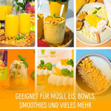 Frysetørret mango: 100g frysetørret frugt fra møre stykker mango uden tilsat sukker - tørret mango - tørret mango - tørret frugt - tørret frugt fra NutriPur Dehydrerede produkter Naty Shop