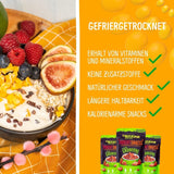 Frysetørret mango: 100g frysetørret frugt fra møre stykker mango uden tilsat sukker - tørret mango - tørret mango - tørret frugt - tørret frugt fra NutriPur Dehydrerede produkter Naty Shop