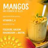 Frysetørret mango: 100g frysetørret frugt fra møre stykker mango uden tilsat sukker - tørret mango - tørret mango - tørret frugt - tørret frugt fra NutriPur Dehydrerede produkter Naty Shop