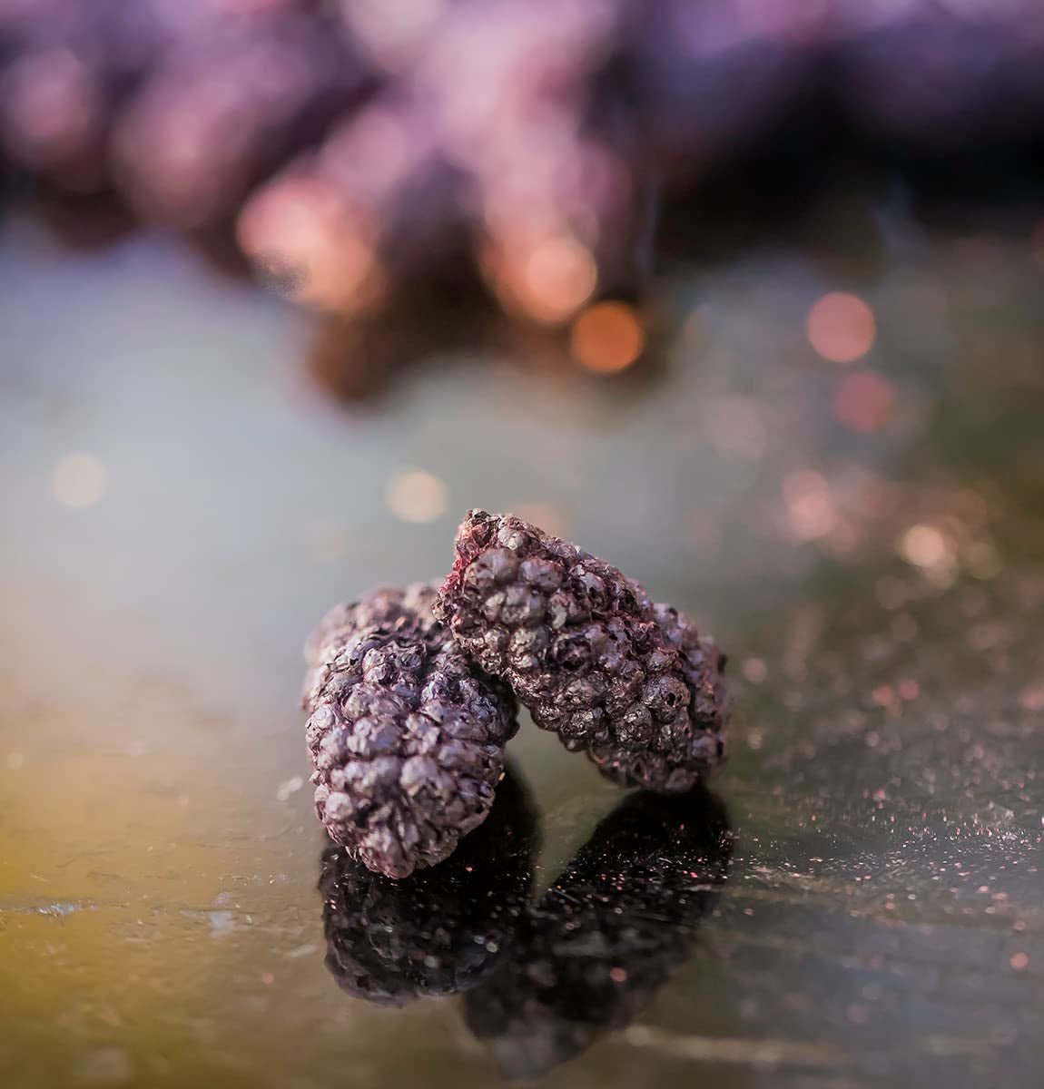 Blackberry BRIX | Naturlige tørrede brombær 95 g | Great Taste Award for tørret frugt | Ikke-GMO, glutenfri, vegansk, konserverede vitaminer Naty Shop Dehydrerede produkter