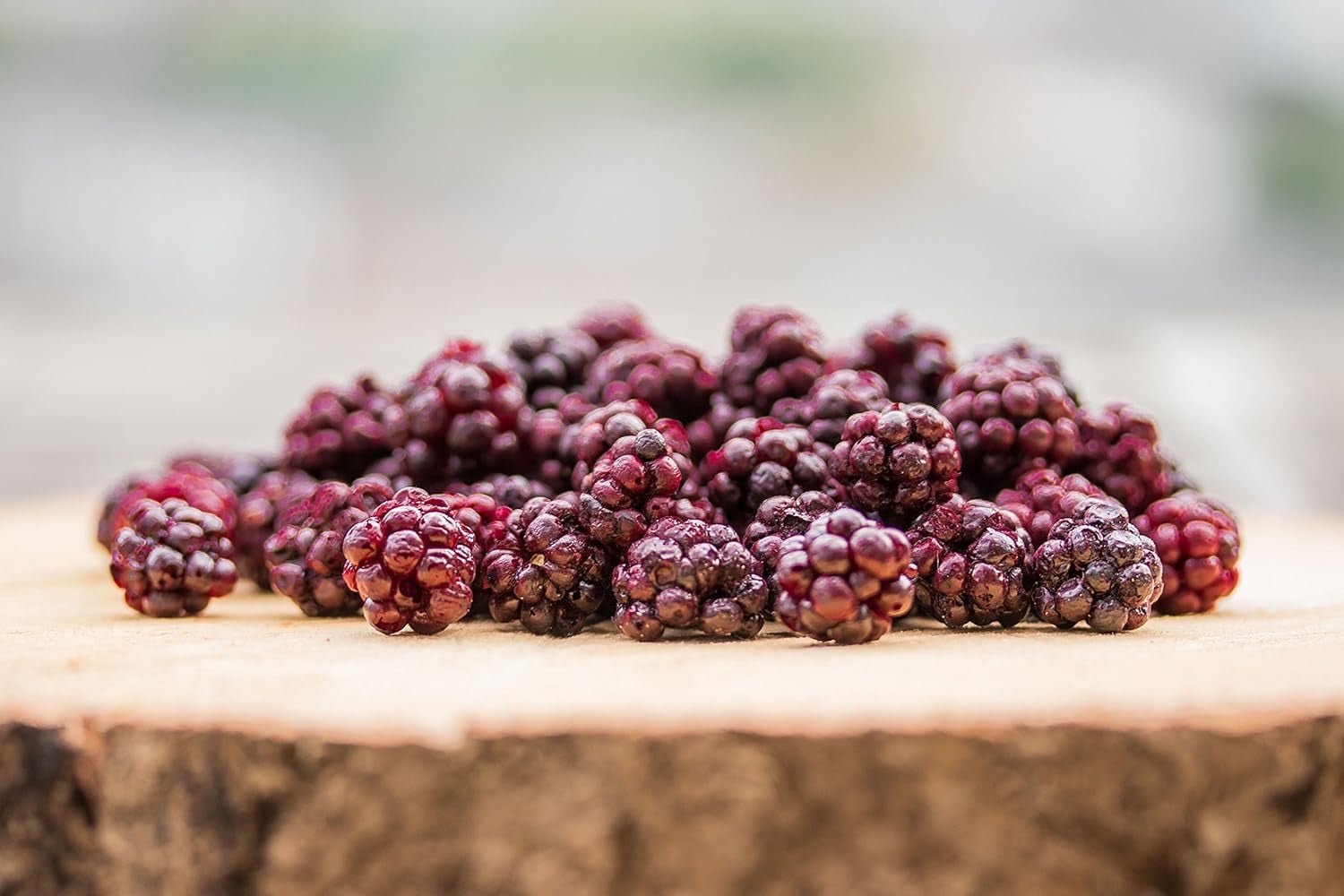 Vilde brombær BRIX | Naturlige vilde brombær, tørret 95 g | Great Taste Award for tørrede bær | Ikke-GMO, glutenfri, veganske, tilbageholdte vitaminer Naty Shop dehydrerede produkter