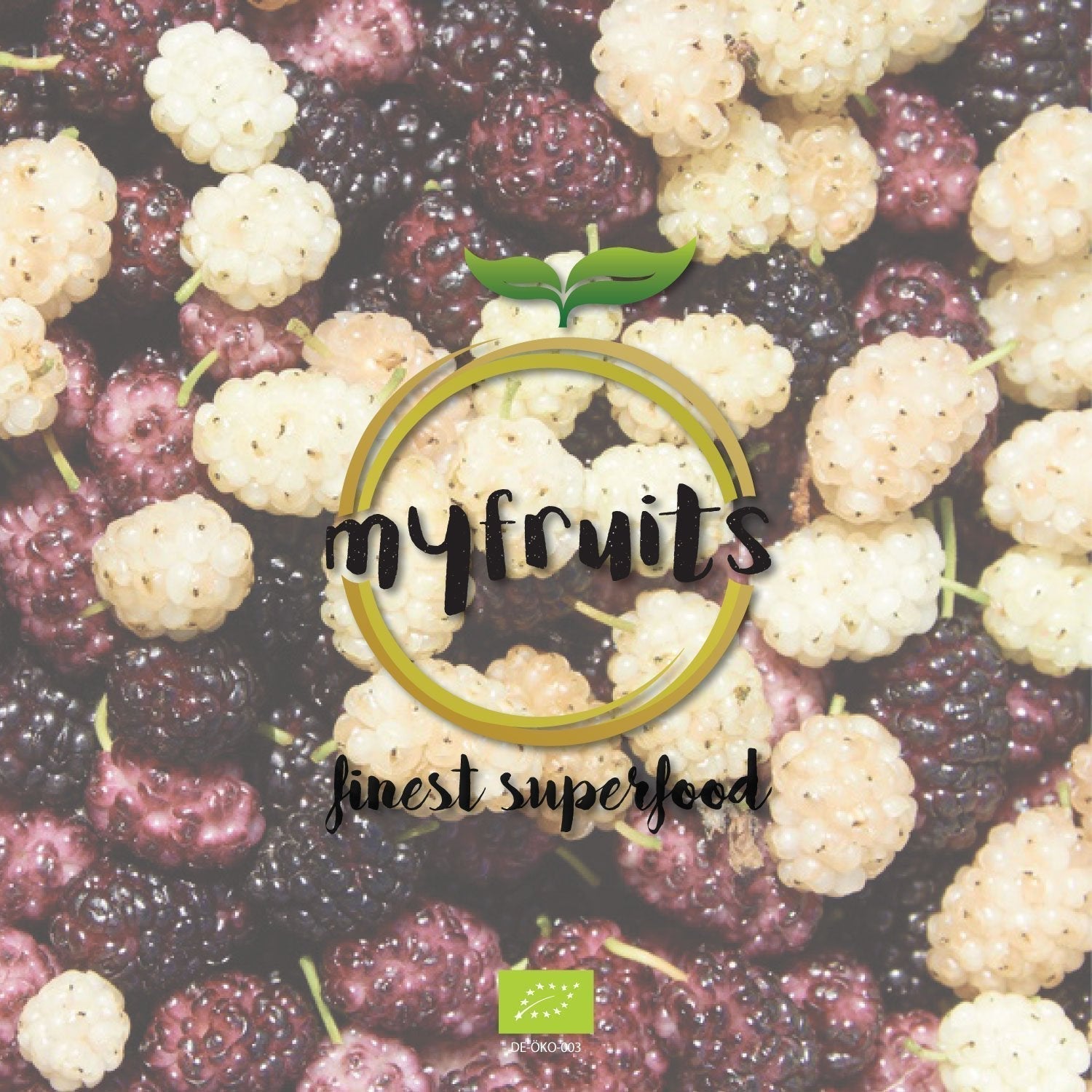 myfruits økologiske tørrede brombær, 750g, soltørret, ingen tilsætningsstoffer. Fra certificeret økologisk landbrug, tørrede hvide brombær Naty Shop dehydrerede produkter