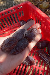 NABALI FAIRKOST FOR ALLE Dadler Medjool Medjoul fra Palæstina - 100% naturlig vegansk aromatisk traditionel frisk og orientalsk I uden konserveringsmidler 5 kg (1 pakke), Små/Mellem Dehydrerede produkter Naty Shop
