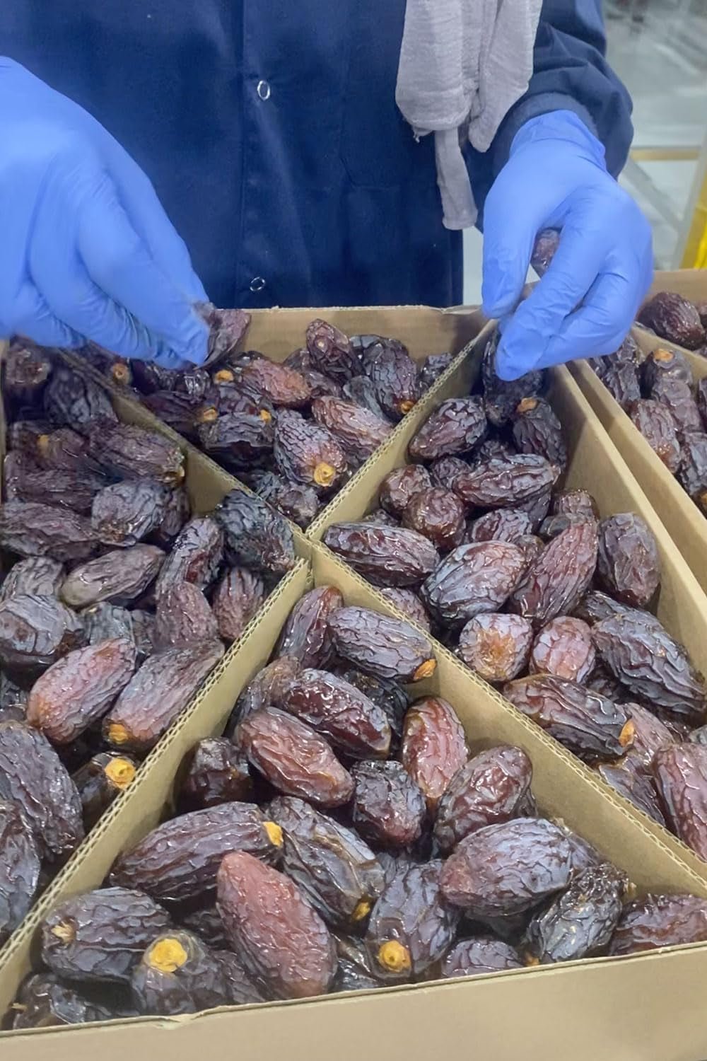 NABALI FAIRKOST FOR ALLE Dadler Medjool Medjoul fra Palæstina - 100% naturlig vegansk aromatisk traditionel frisk og orientalsk I uden konserveringsmidler 5 kg (1 pakke), Små/Mellem Dehydrerede produkter Naty Shop