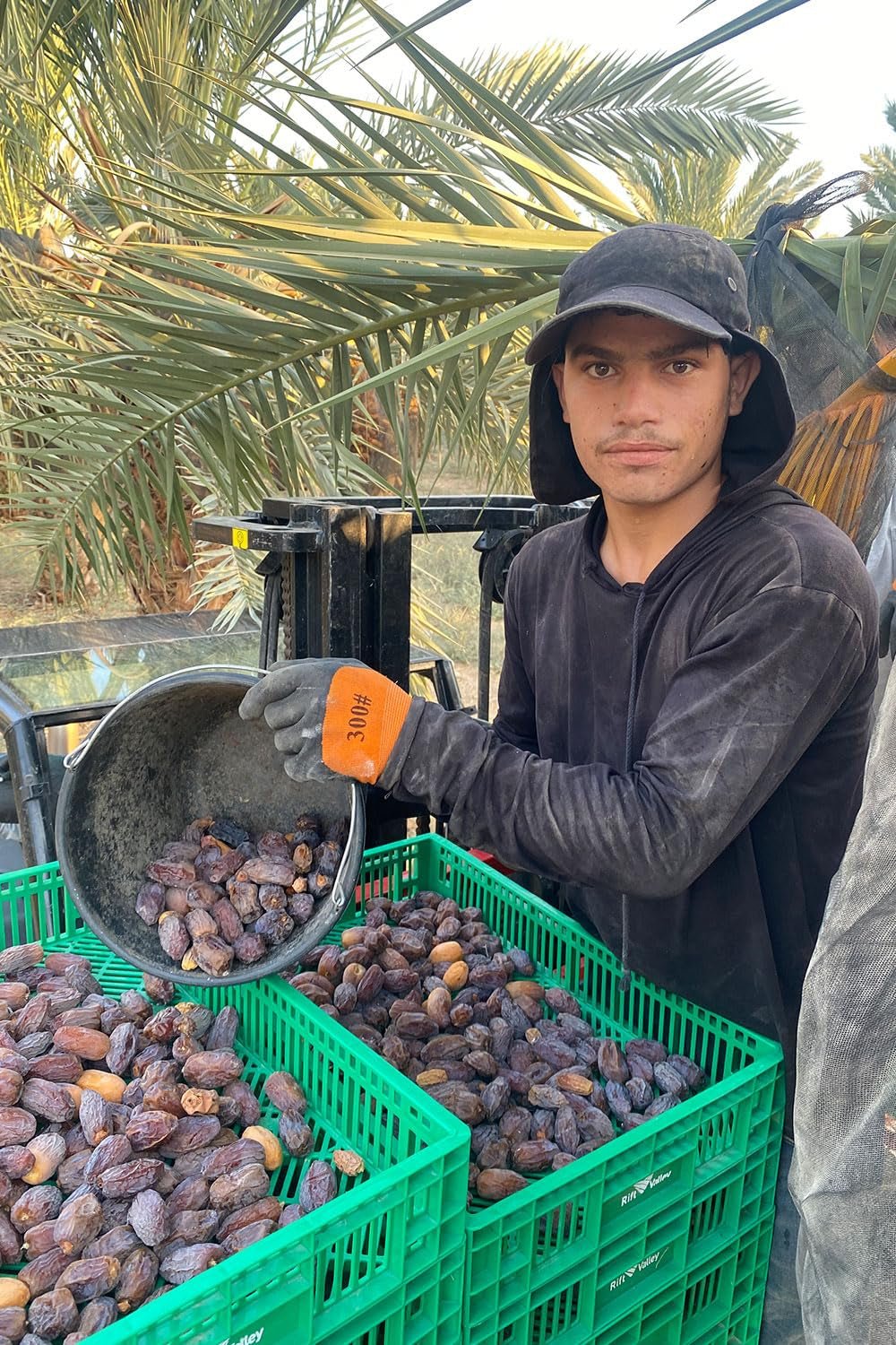 NABALI FAIRKOST FOR ALLE Medjoul - Medjool Dates Choice I - 100% naturlig aromatisk frisk orientalsk blød I sød som honning og karamelliseret I Oprindelse: Palæstina I (1x1KG) Dehydrerede produkter Naty Shop