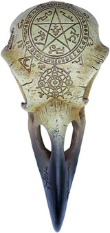 Omega Raven Skull Statuetter og skulpturer Naty Shop