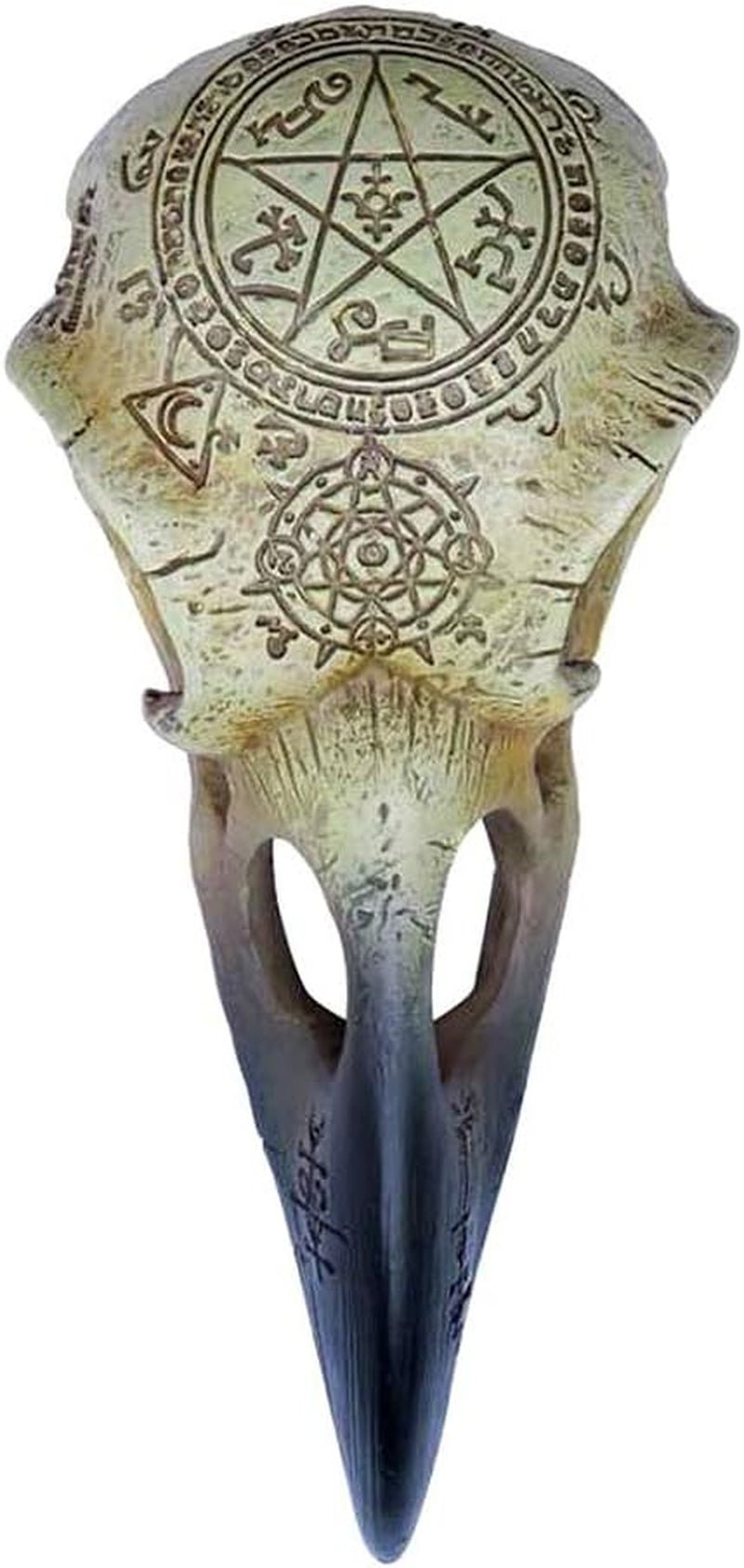 Omega Raven Skull Statuetter og skulpturer Naty Shop