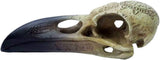Omega Raven Skull Statuetter og skulpturer Naty Shop
