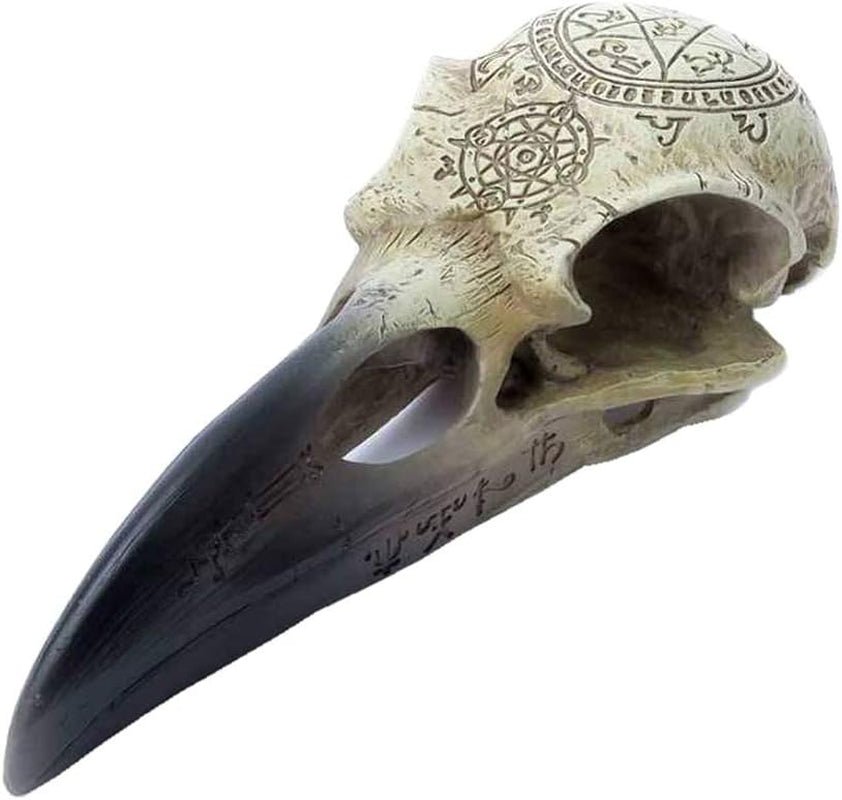 Omega Raven Skull Statuetter og skulpturer Naty Shop Standard titel