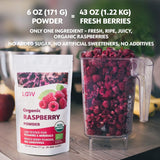 Økologisk hindbærpulver 100 % hele hindbær Frysetørret hindbærpulver 171 g fra Europa 24 dages forsyning uden tilsat sukker Naty Shop Dehydrerede produkter