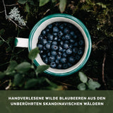 Økologisk vilde blåbærpulver, frysetørrede hele blåbær, 100 % rå fødevarekvalitet, rig på antioxidanter og C-vitamin, uden tilsat sukker, høstet i Nordeuropa Tørrede produkter Naty Shop