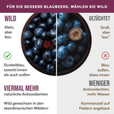 Økologisk vilde blåbærpulver, frysetørrede hele blåbær, 100 % rå fødevarekvalitet, rig på antioxidanter og C-vitamin, uden tilsat sukker, høstet i Nordeuropa Tørrede produkter Naty Shop