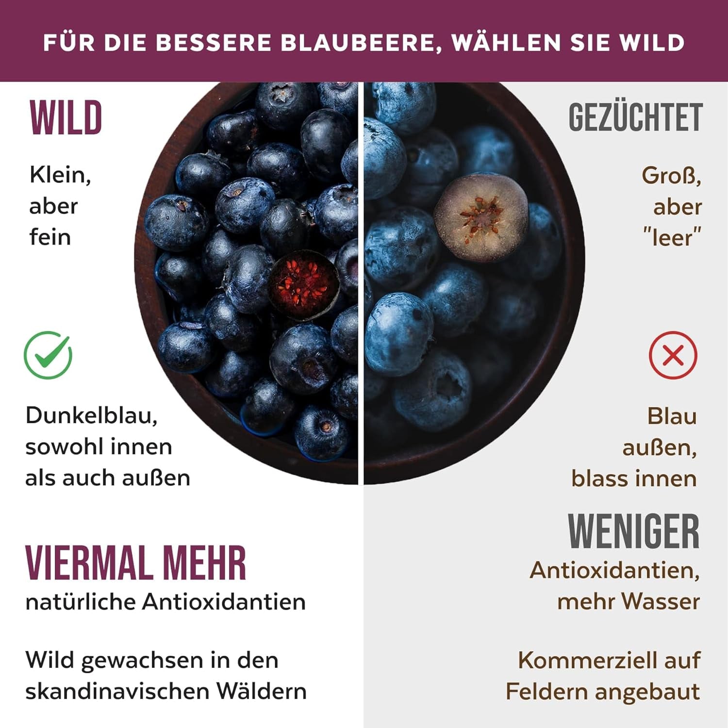 Økologisk vilde blåbærpulver, frysetørrede hele blåbær, 100 % rå fødevarekvalitet, rig på antioxidanter og C-vitamin, uden tilsat sukker, høstet i Nordeuropa Tørrede produkter Naty Shop