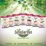 Seba Garden Premium frysetørrede jordbær, lækre middelhavsjordbær, ikke-GMO og veganske (100 g) Tørrede produkter Min butik
