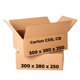 Sæt med 20 papkasser CO5, CB, 300 x 280 x 250 Emballagekasser Nati Shop