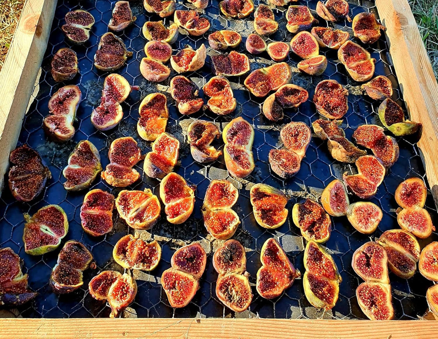 Mundo Feliz tørrede figner fra økologisk landbrug, 2 x 500 g Naty Shop dehydrerede produkter