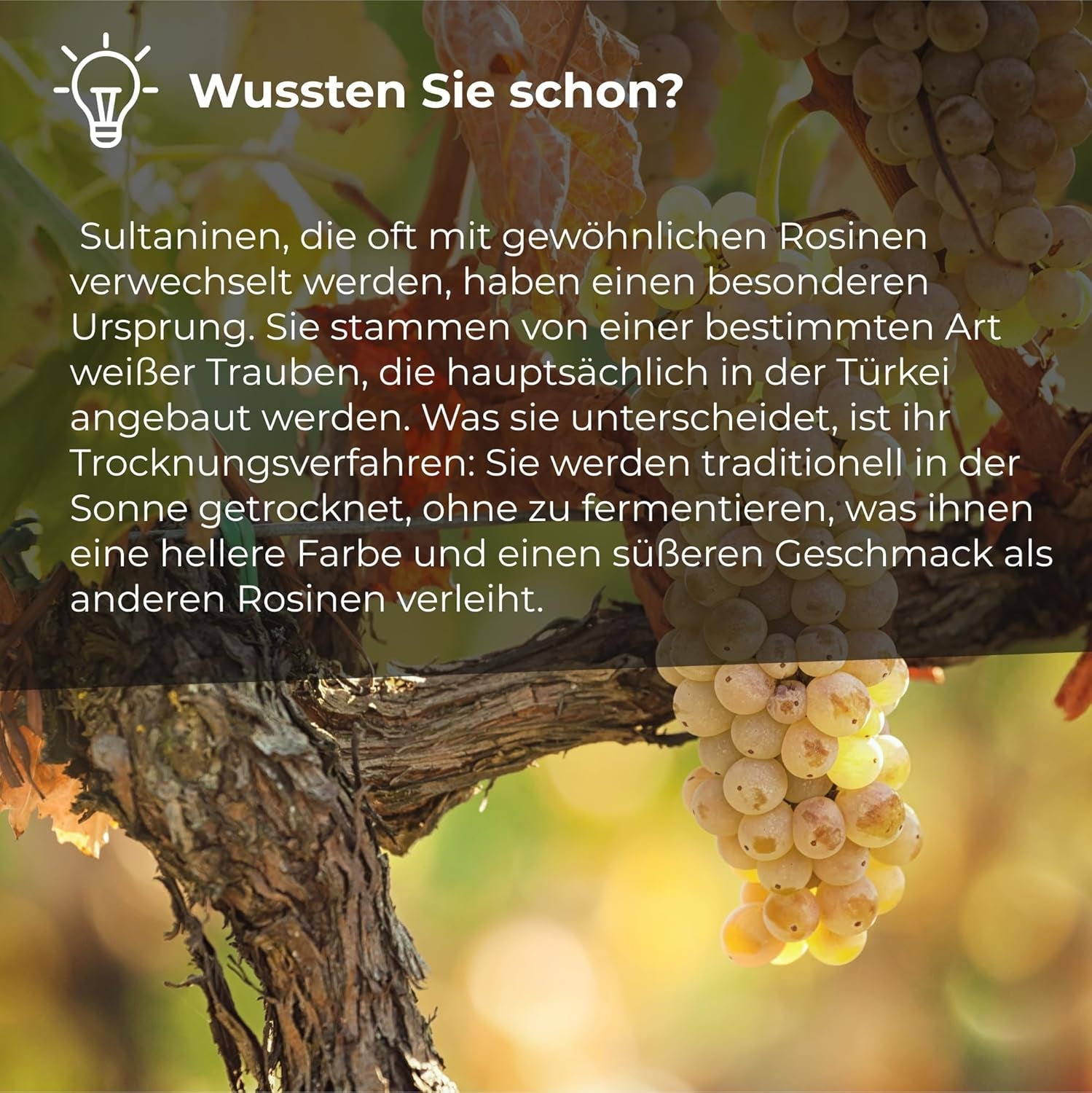 Sultanas rosiner 1 kg | Smyrna Rosin | Sultanas tørrede rosiner fra Izmir | 100 % af tyrkisk oprindelse | Kvalitetssnacks | i Kostfibre fra tørrede druer | Naty Shop dehydrerede produkter