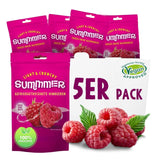 Summer Frysetørrede Jordbær - Pakke med 5 - Sukkerfri, 100 % naturlig, lækre sprøde snacks til børn og voksne, Ideel til korn og frokostkasser (55 g) Dehydrerede produkter Naty Shop Pakke med 5 hindbær