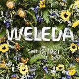 WELEDA Organic Baby Calendula Care Cream Body & Face 75ml - Ansigtscreme / hudcreme til naturkosmetik med sesamolie og lanolin til tør hudpleje. Fugtgivende plejecreme til babyer og børn Børn - Bath and Skincare Naty Shop