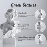 XMGZQ Hvid Aphrodite Statue Skulptur, Harpiks græsk Mytologi Buste Statue, til Coquette Room Decoration, Dark Academia Room Decoration, Boghylder, Skillevæg, Sofabord Centerpiece Statuetter og skulpturer Naty Shop