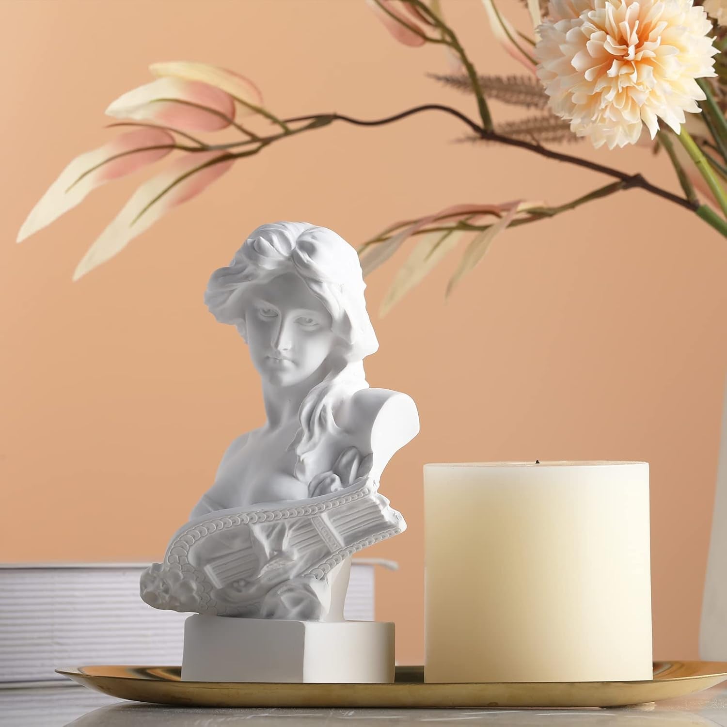 XMGZQ Hvid Aphrodite Statue Skulptur, Harpiks græsk Mytologi Buste Statue, til Coquette Room Decoration, Dark Academia Room Decoration, Boghylder, Skillevæg, Sofabord Centerpiece Statuetter og skulpturer Naty Shop